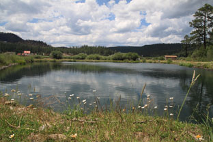 back lake
